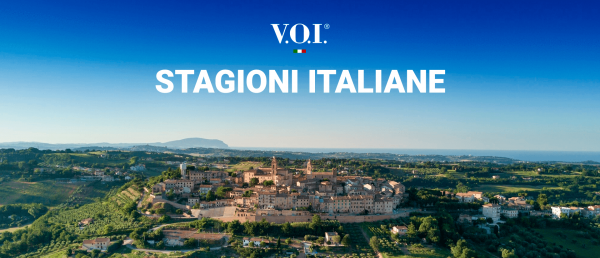 Scarpe estive uomo: scopri la promozione V.O.I.